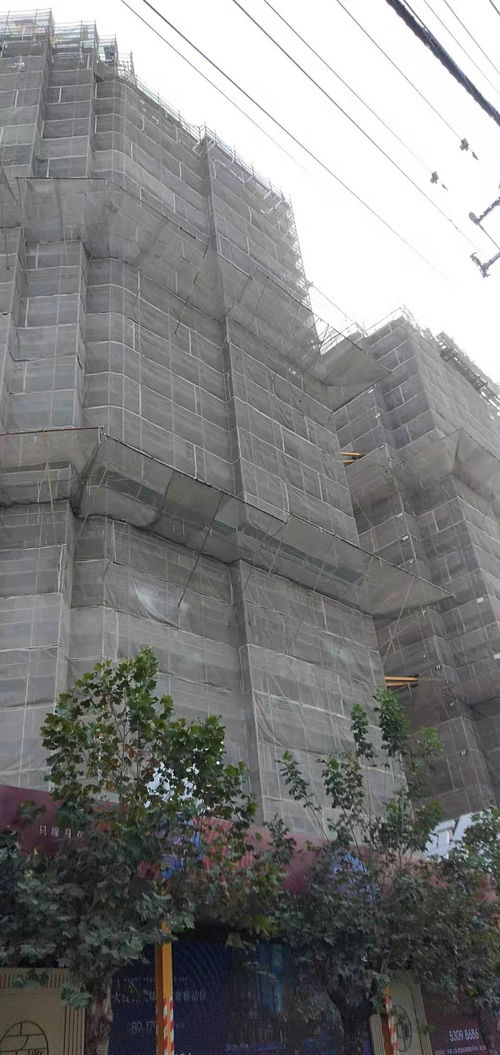 建筑建材企業商情 洞察市場脈搏，把握發展機遇