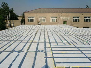 綠色轉型，智造未來 后傳統建材時代的建筑設備新圖景